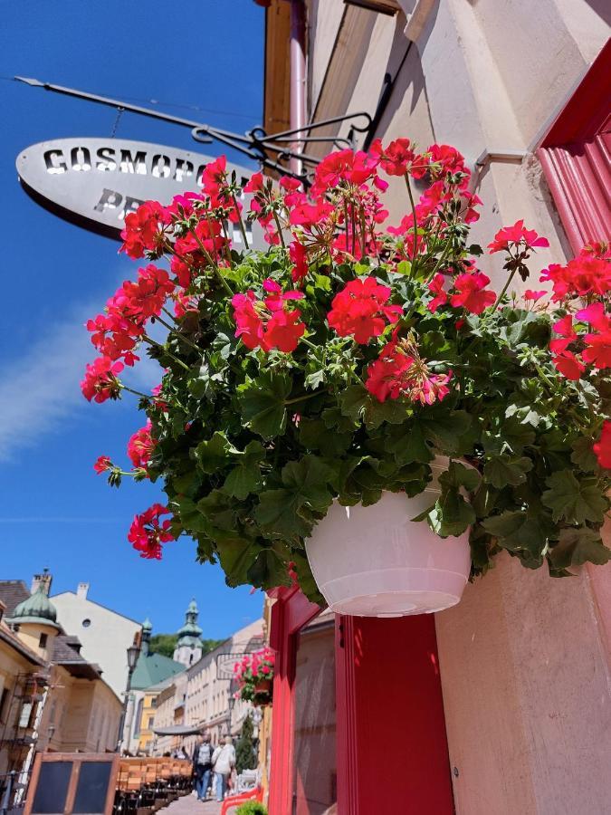Penzion Cosmopolitan Ii. Banská Štiavnica Eksteriør bilde
